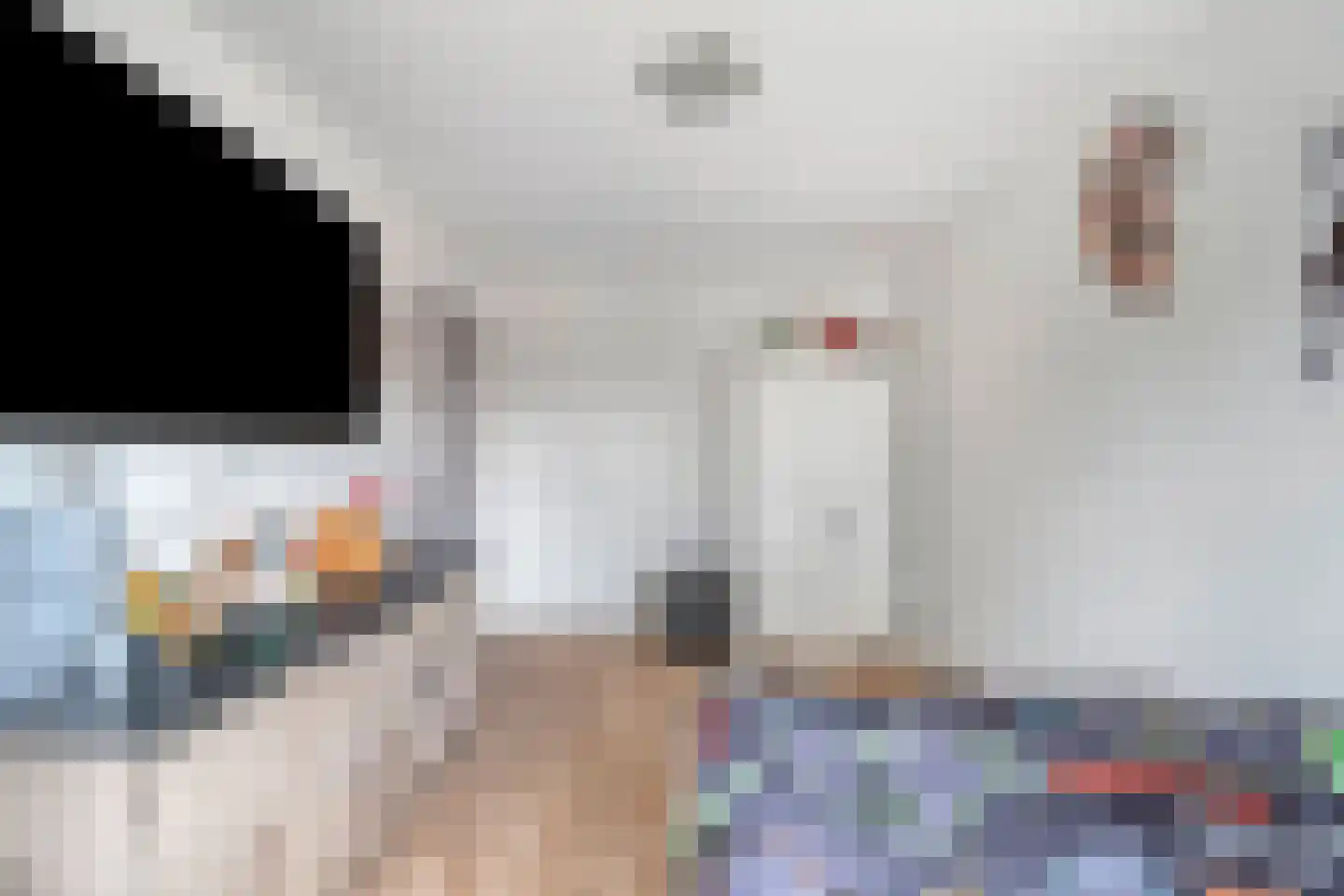 Bark 15 Wieringerwerf thumbnail 20