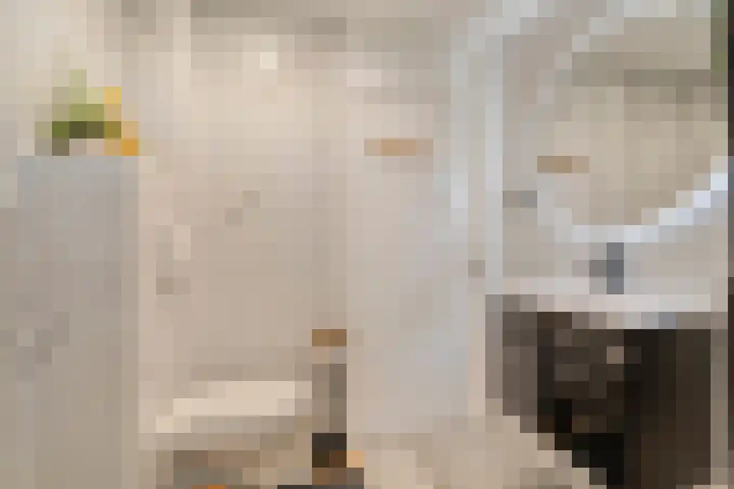 Bark 15 Wieringerwerf thumbnail 21