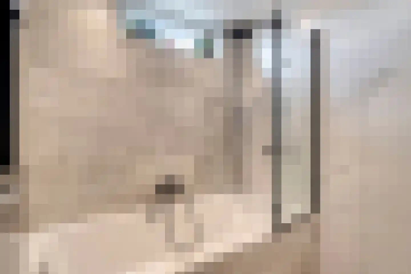 Bark 15 Wieringerwerf thumbnail 22