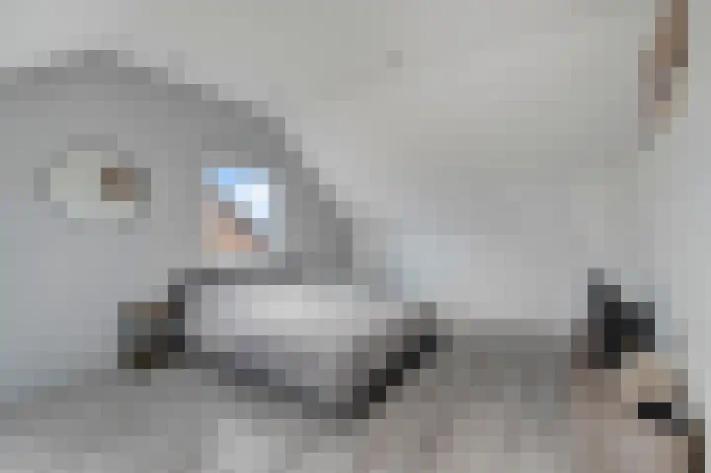 Bark 15 Wieringerwerf thumbnail 23