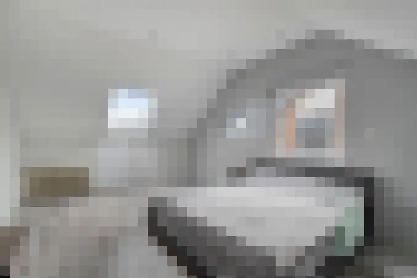 Bark 15 Wieringerwerf thumbnail 24
