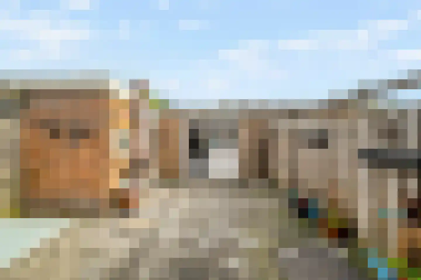 Bark 15 Wieringerwerf thumbnail 26
