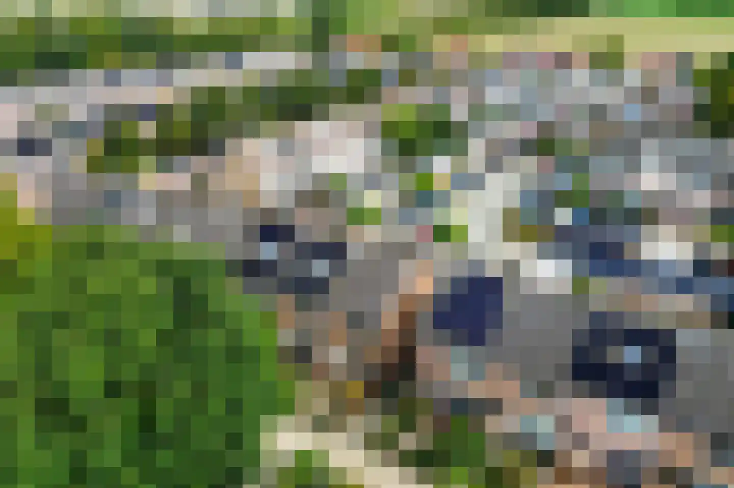 Bark 15 Wieringerwerf thumbnail 27