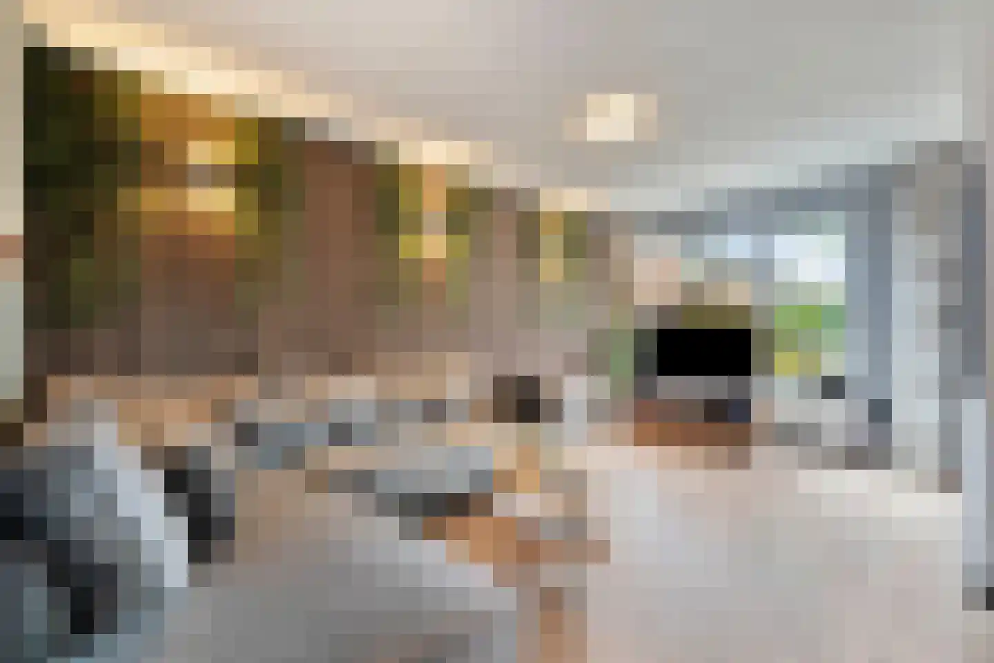 Bark 15 Wieringerwerf foto 3