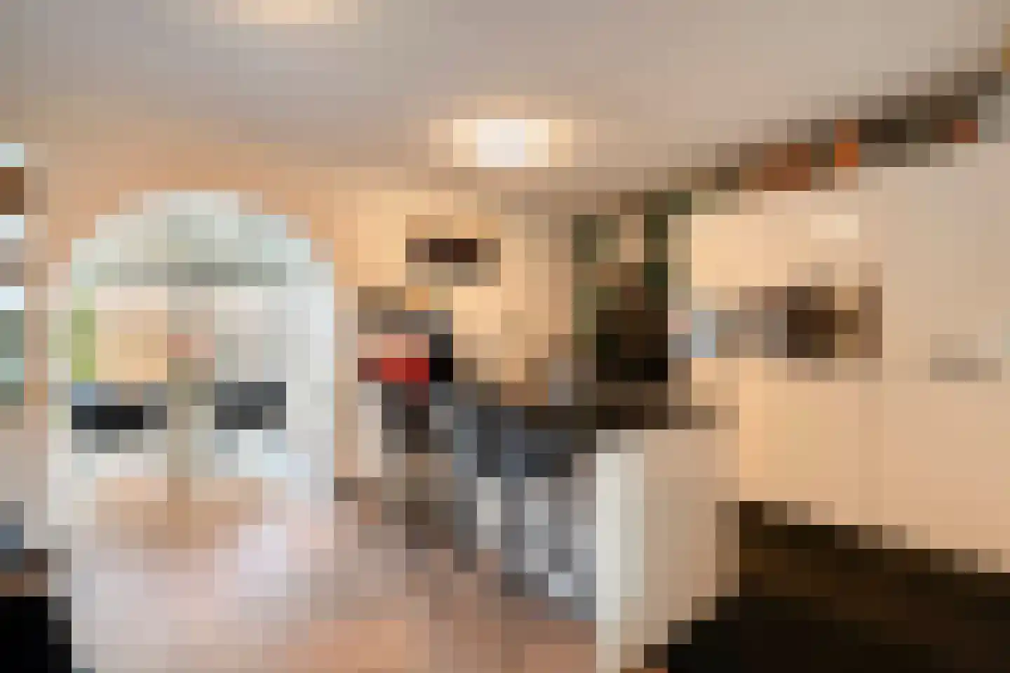 Bark 15 Wieringerwerf thumbnail 4