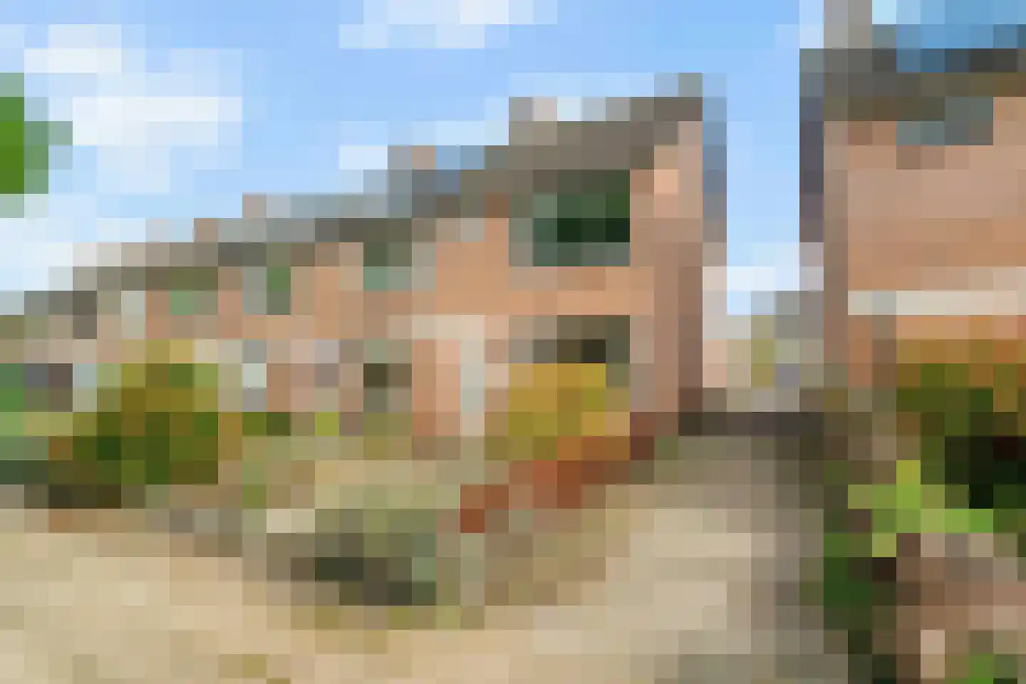 Bark 15 Wieringerwerf thumbnail 6