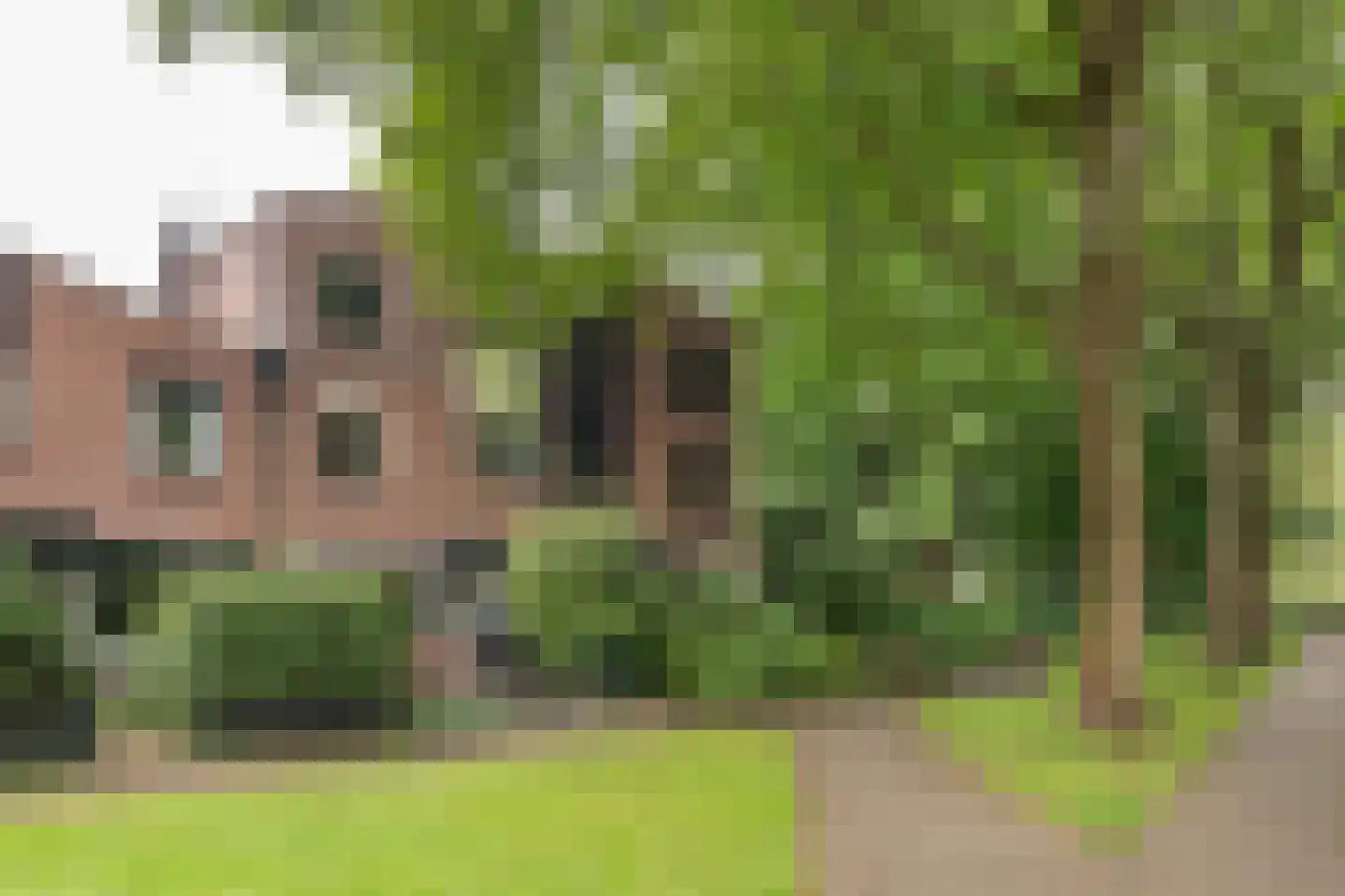 Bark 30 Barendrecht