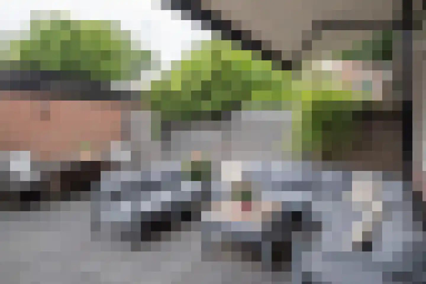 Bark 30 Barendrecht thumbnail 29
