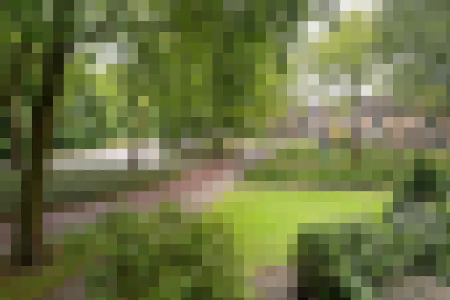 Bark 30 Barendrecht thumbnail 31