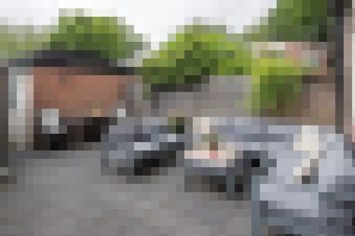 Bark 30 Barendrecht thumbnail 4