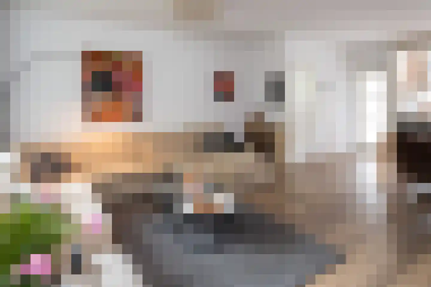 Bark 30 Barendrecht thumbnail 8