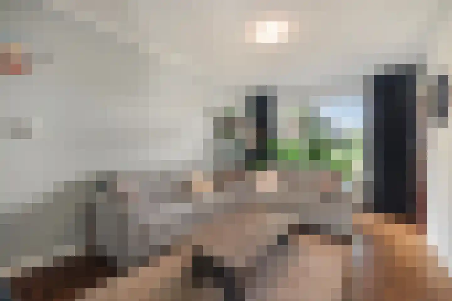 Bark 35 Wieringerwerf thumbnail 10