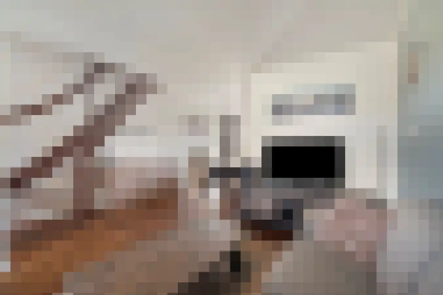 Bark 35 Wieringerwerf thumbnail 12
