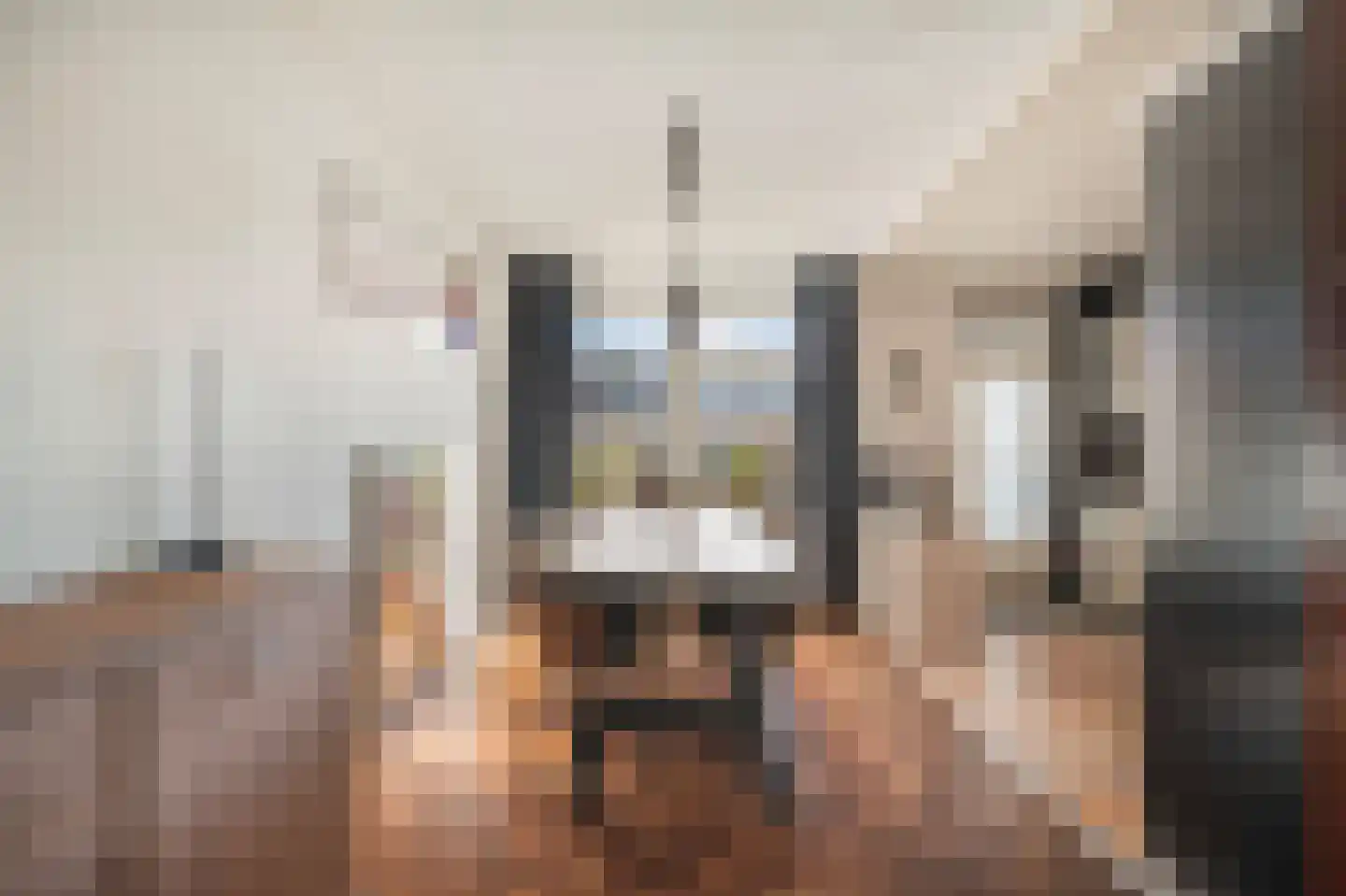 Bark 35 Wieringerwerf thumbnail 13