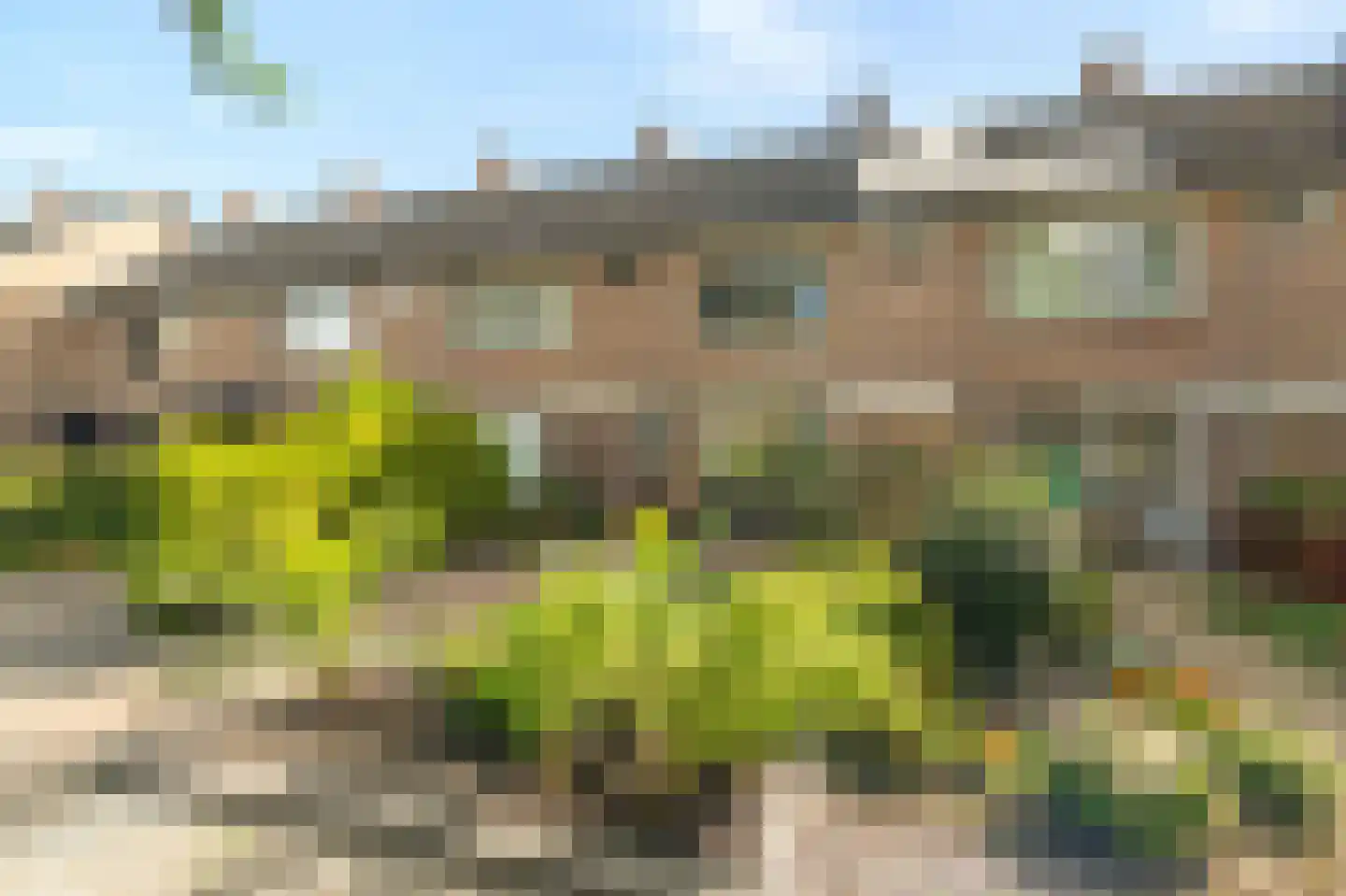 Bark 35 Wieringerwerf thumbnail 4