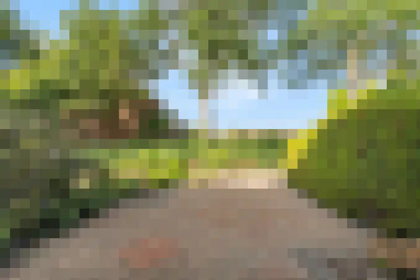 Bark 35 Wieringerwerf thumbnail 5