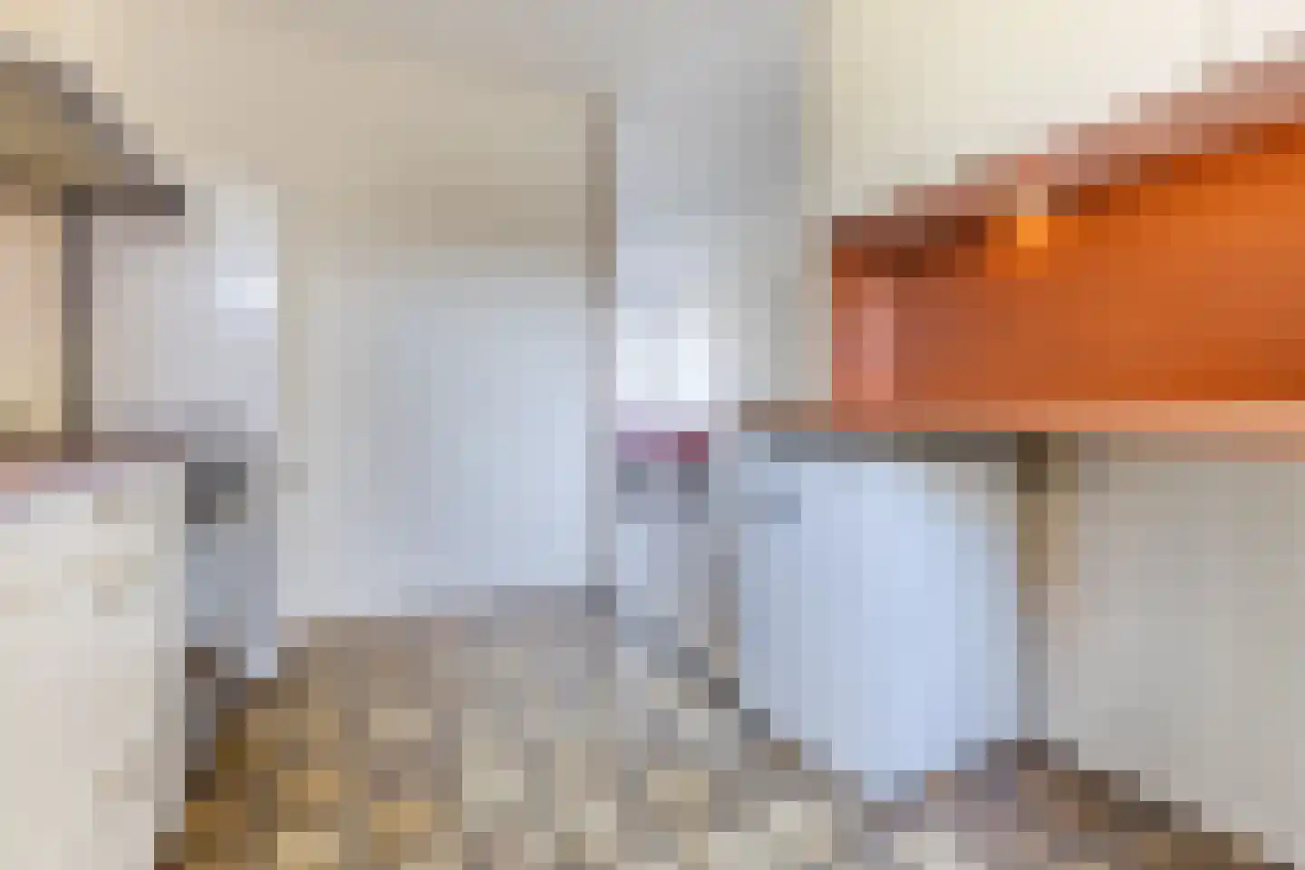 Bark 4 Schipluiden thumbnail 10