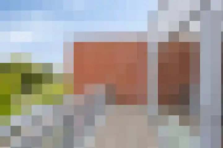 Bark 4 Schipluiden thumbnail 12