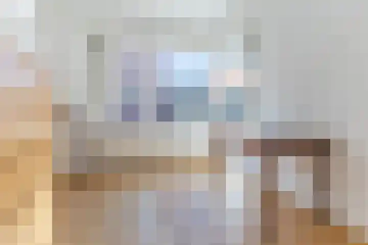 Bark 4 Schipluiden thumbnail 12