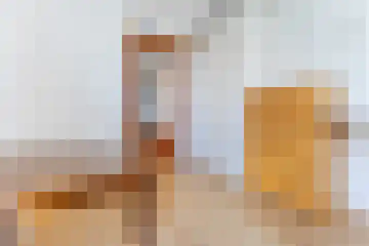 Bark 4 Schipluiden thumbnail 13