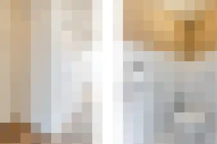 Bark 4 Schipluiden thumbnail 14