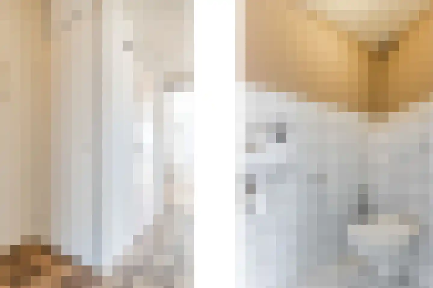 Bark 4 Schipluiden thumbnail 14