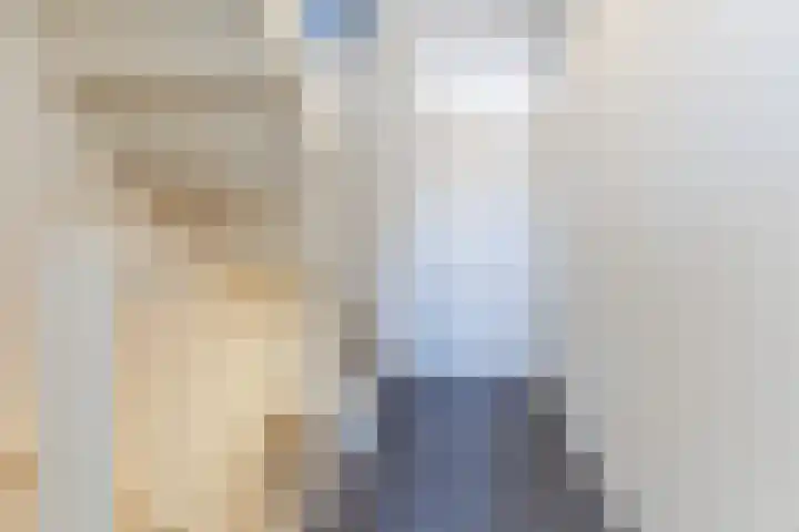 Bark 4 Schipluiden thumbnail 15