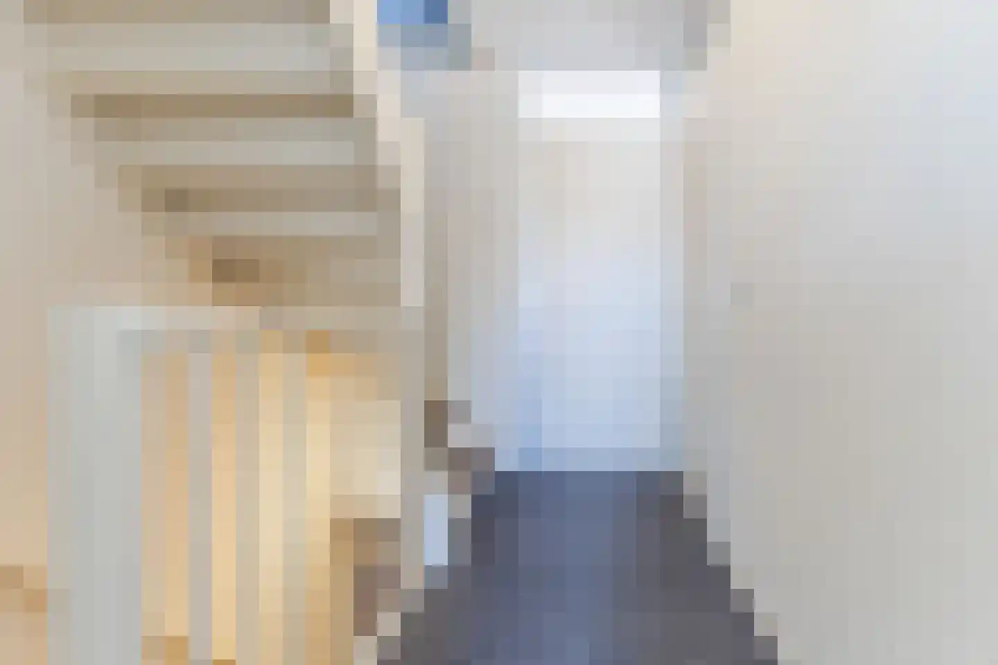 Bark 4 Schipluiden thumbnail 15