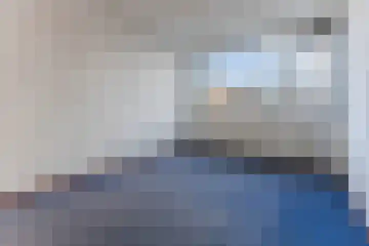 Bark 4 Schipluiden thumbnail 16