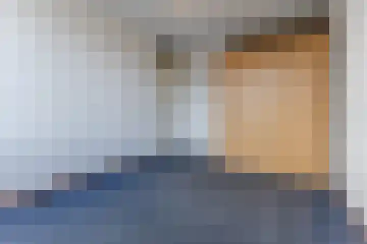 Bark 4 Schipluiden thumbnail 17