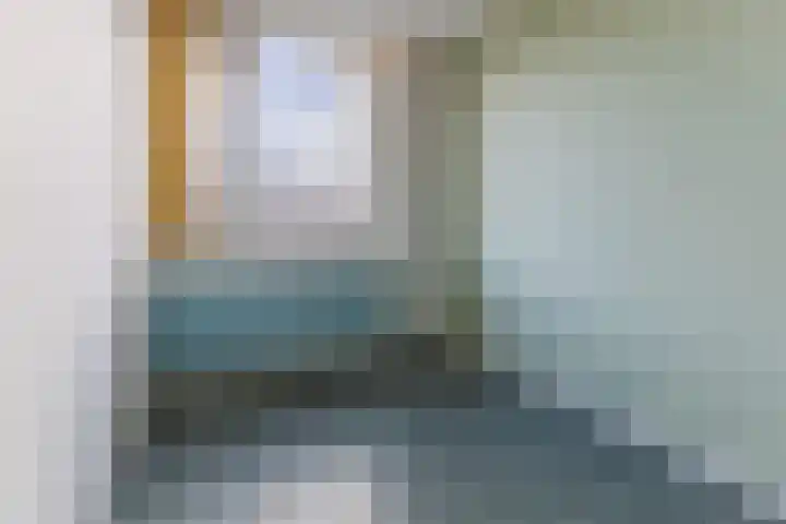 Bark 4 Schipluiden thumbnail 18