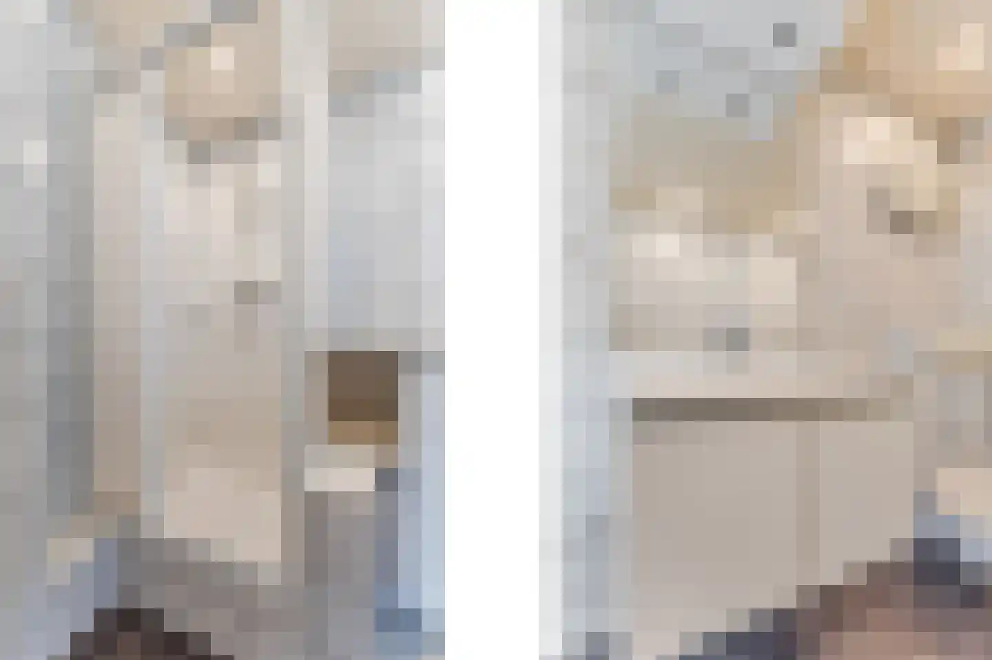 Bark 4 Schipluiden thumbnail 20