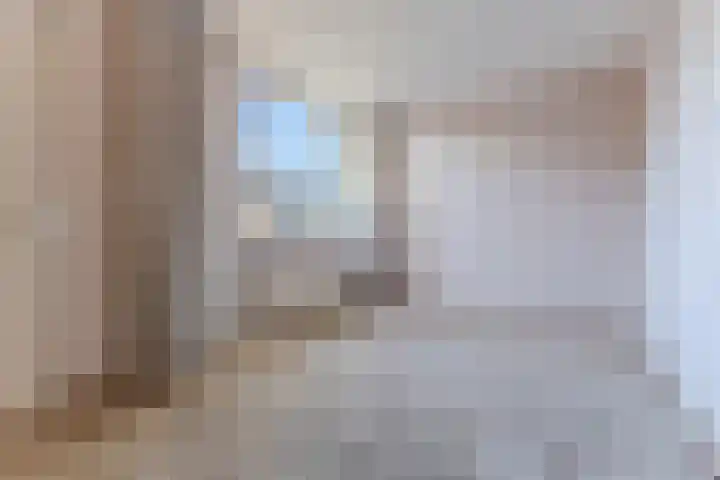 Bark 4 Schipluiden thumbnail 21