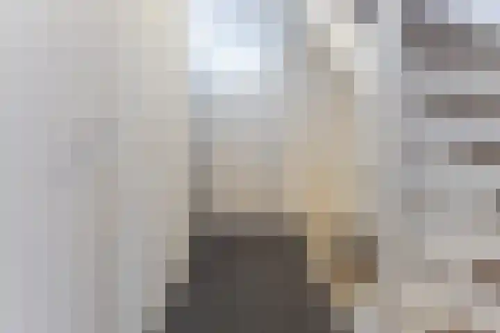 Bark 4 Schipluiden thumbnail 23