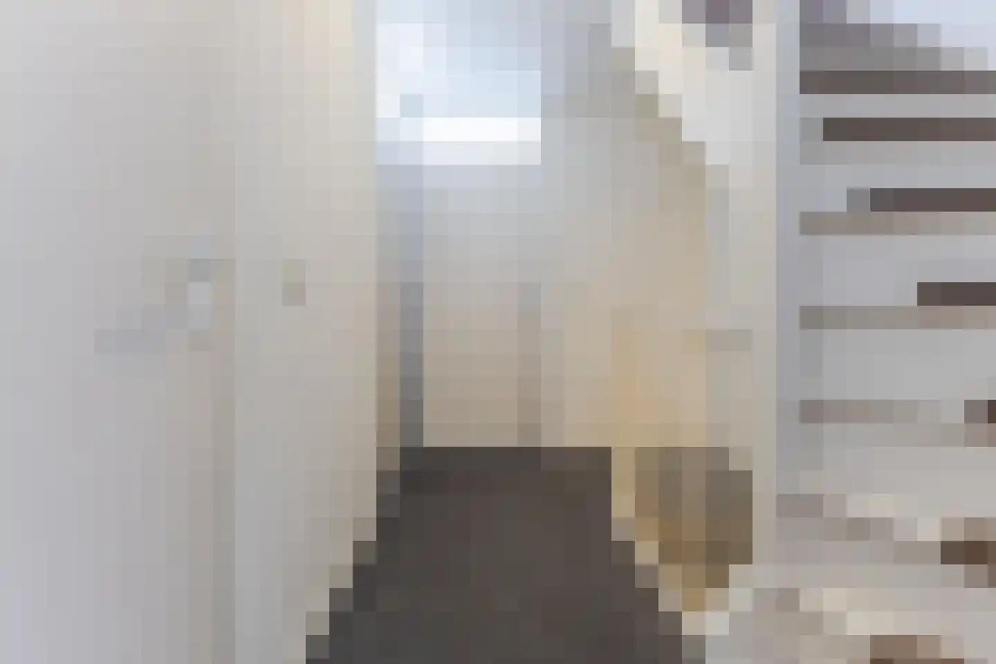 Bark 4 Schipluiden thumbnail 23