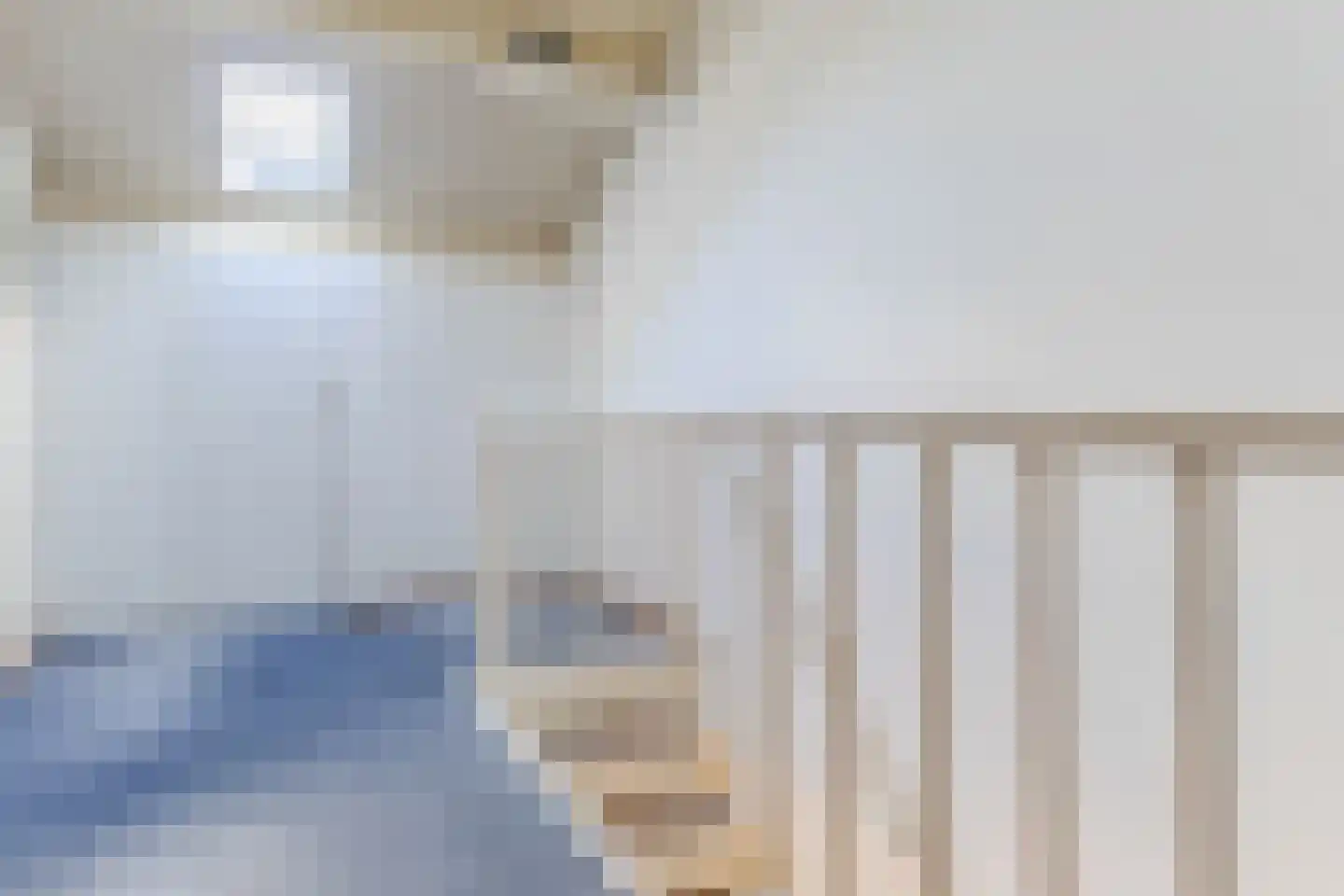 Bark 4 Schipluiden thumbnail 24