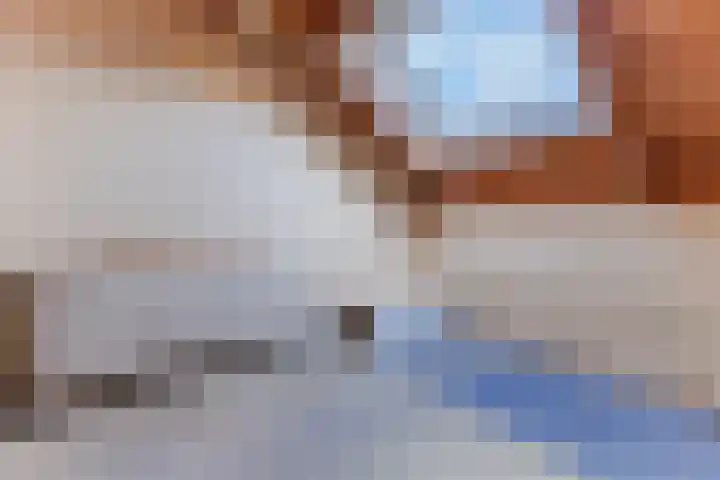Bark 4 Schipluiden thumbnail 25