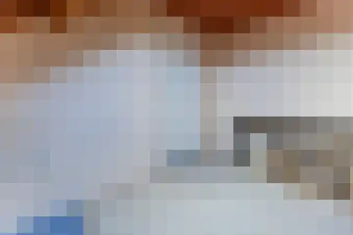 Bark 4 Schipluiden thumbnail 26