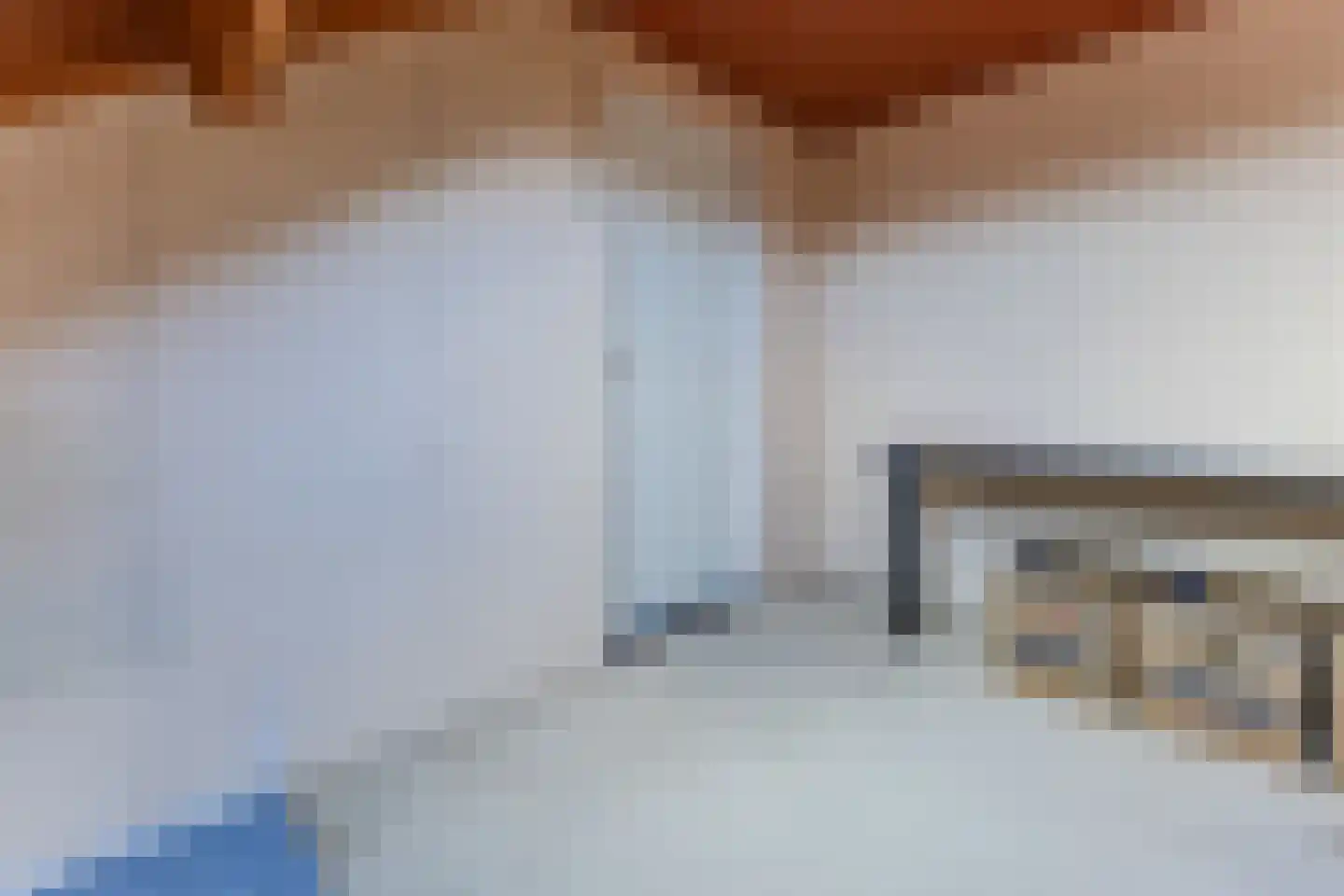 Bark 4 Schipluiden thumbnail 26