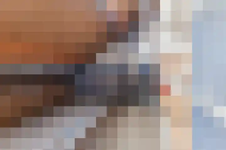 Bark 4 Schipluiden thumbnail 27