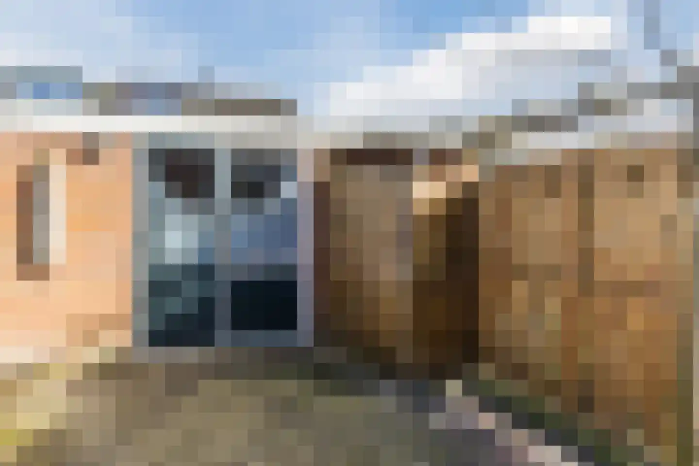 Bark 4 Schipluiden thumbnail 29