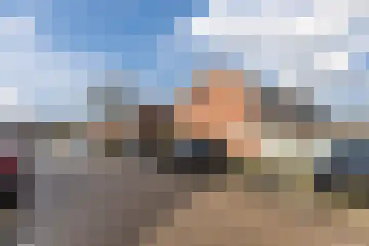 Bark 4 Schipluiden thumbnail 30