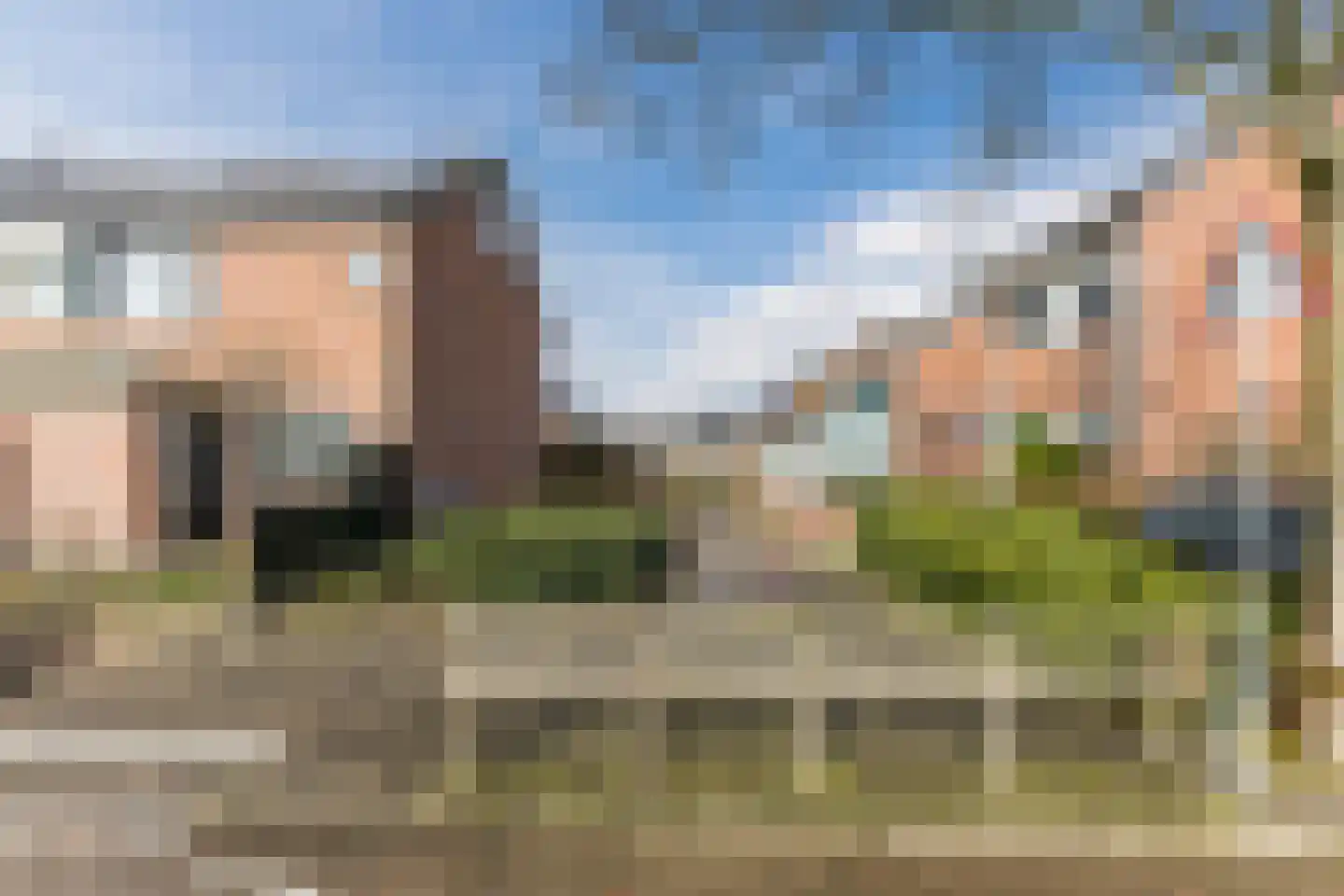Bark 4 Schipluiden thumbnail 31
