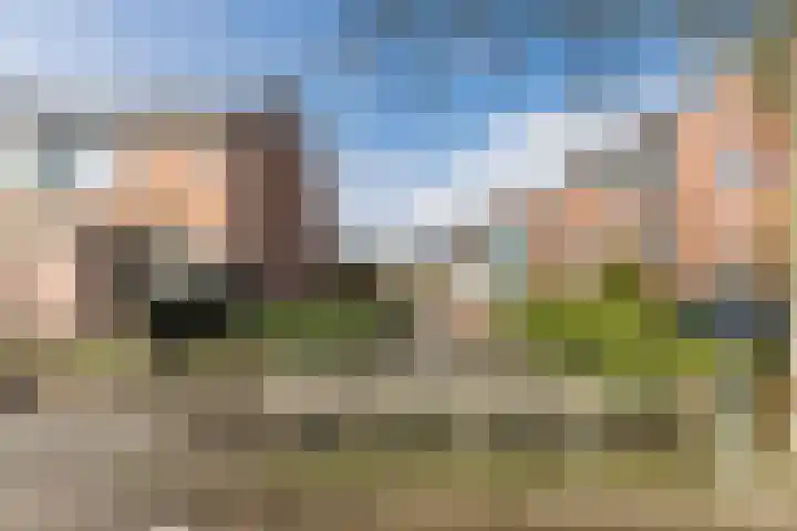 Bark 4 Schipluiden thumbnail 31