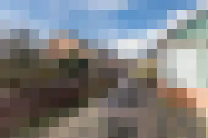 Bark 4 Schipluiden thumbnail 32