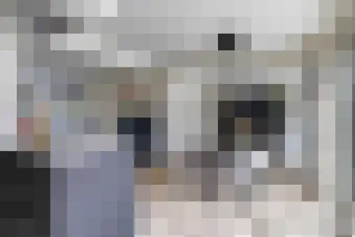 Bark 4 Schipluiden thumbnail 33