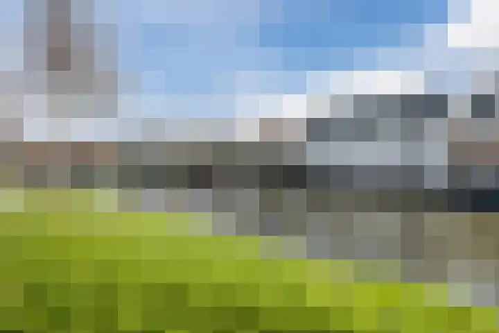 Bark 4 Schipluiden thumbnail 33