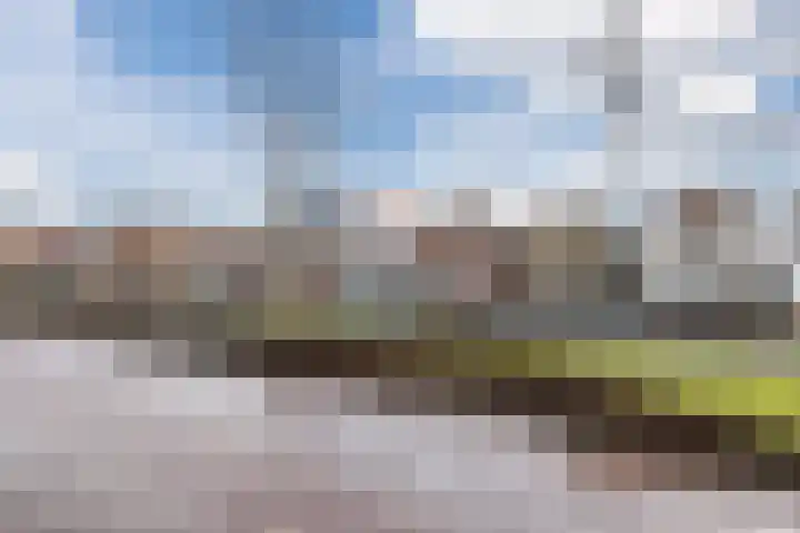 Bark 4 Schipluiden thumbnail 34