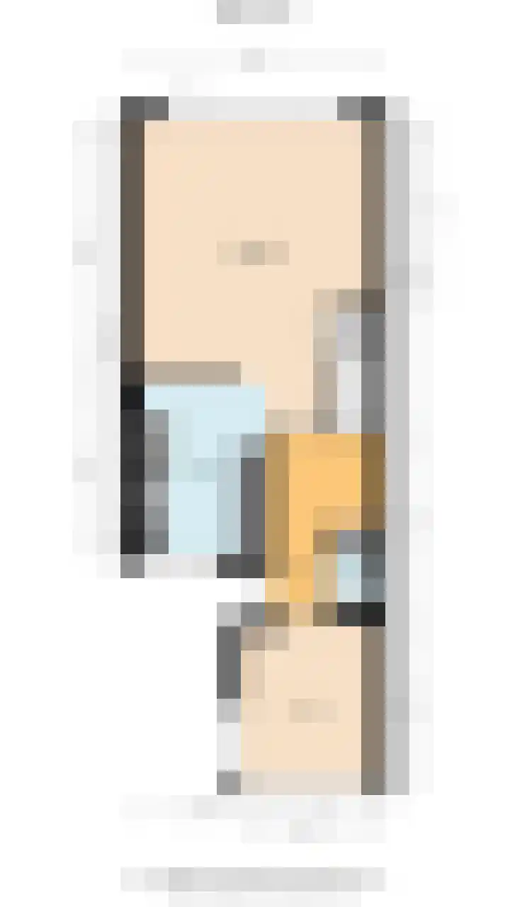 Bark 4 Schipluiden thumbnail 36