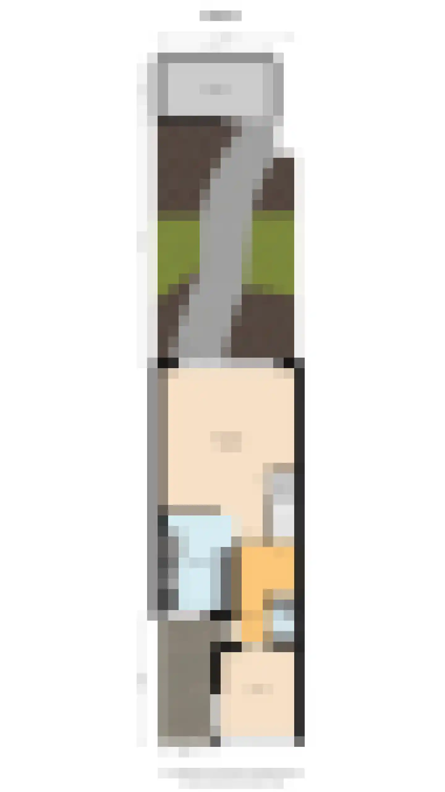 Bark 4 Schipluiden thumbnail 39